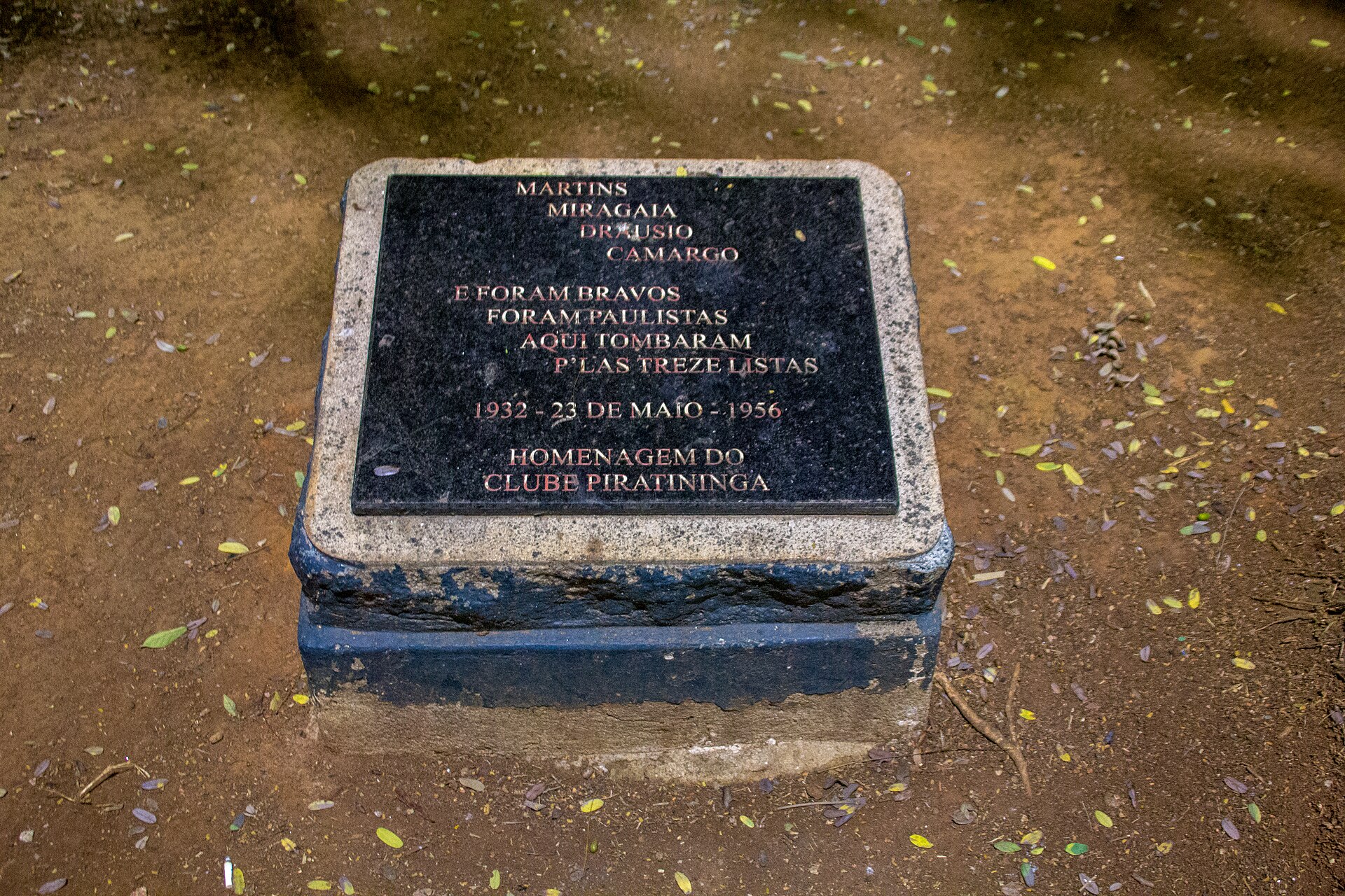 Imagem de referência de Martins, Miragaia, Dráusio E Camargo, descrito nos dados abertos como monumento na cidade de São Paulo