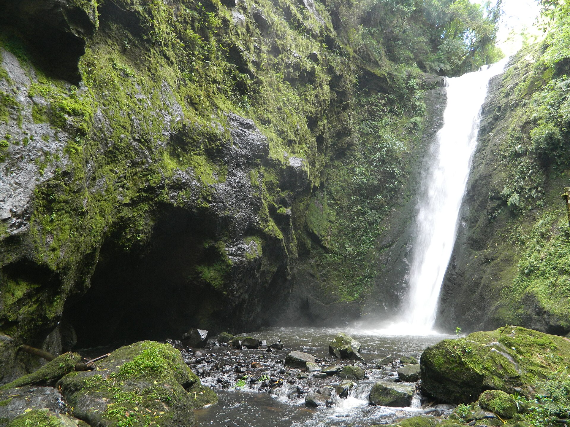 Imagem de referência de Floresta Nacional de São Francisco de Paula, descrito nos dados abertos como unidade de conservação da natureza pertencente ao governo federal brasileiro