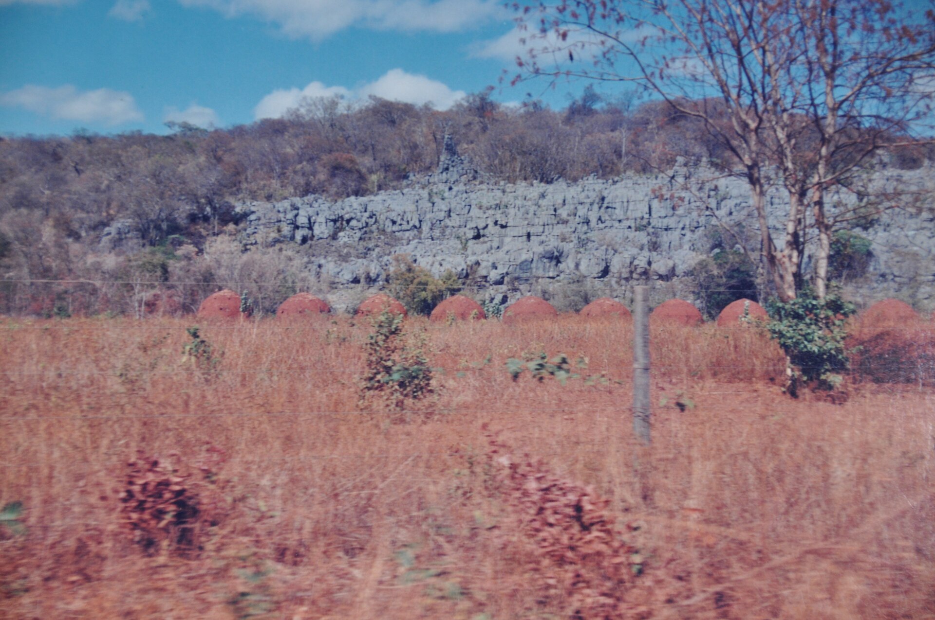 Imagem de referência de Área de Proteção Ambiental Cavernas do Peruaçu, descrito nos dados abertos como área de Proteção Ambiental Cavernas do Peruaçu de nível Federal, localizado (a) em Bonito de Minas (MG), Cônego Marinho (MG), Itacarambi (MG), JANUARIA (MG)