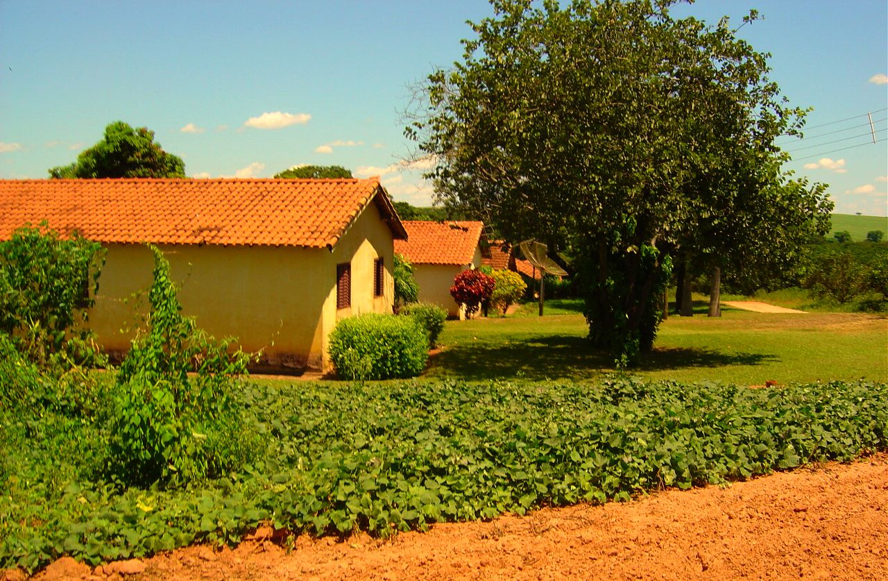 Imagem de referência de Cafelândia, descrito nos dados abertos como município brasileiro localizado na Região Metropolitana de Cascavel, Mesorregião Oeste do estado do Paraná