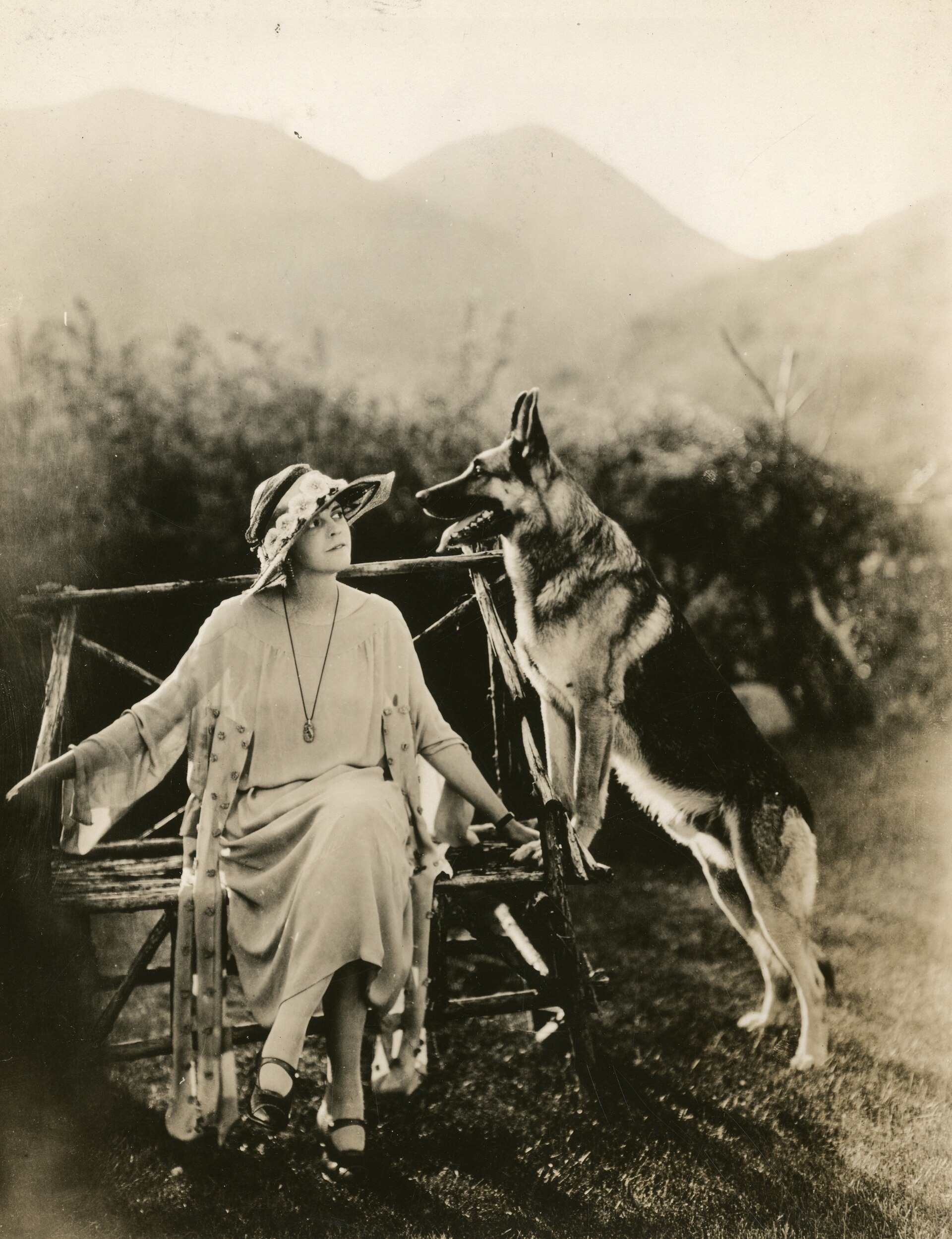 Imagem de referência de Strongheart, descrito nos dados abertos como pastor alemão estrela de cinema da década de 1920