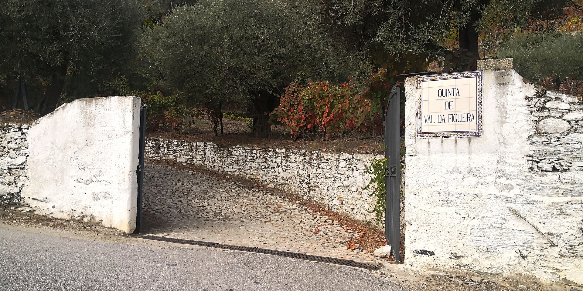 Imagem de referência de Quinta de Val da Figueira, descrito nos dados abertos como quinta em Covas do Douro, Sabrosa, Portugal