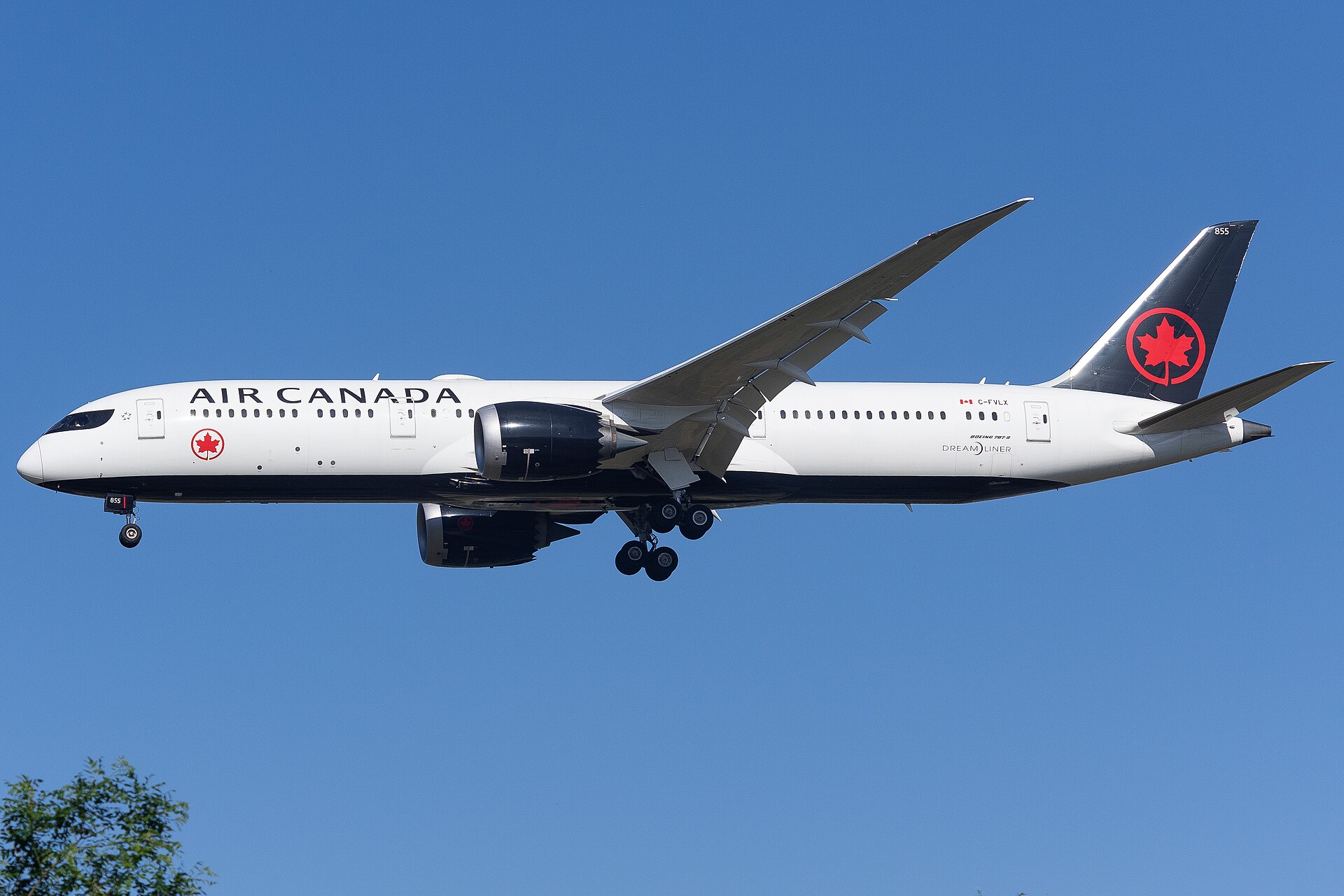 Imagem de referência de Air Canada, descrito nos dados abertos como transportadora e maior companhia aérea do Canadá