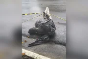 Corpos em sacos de lixo: veja casos ligados à teoria de serial killer - imagem 2