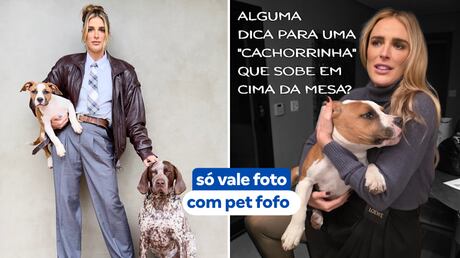 Ana Hickmann desafia internautas: ‘Cite uma regra que seu cachorro impôs na sua casa e todos seguem’