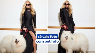 Ana Hickmann desafia internautas: ‘Cite uma regra que seu cachorro impôs na sua casa e todos seguem’