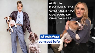 Ana Hickmann desafia internautas: ‘Cite uma regra que seu cachorro impôs na sua casa e todos seguem’