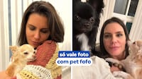 Ana Hickmann desafia internautas: ‘Cite uma regra que seu cachorro impôs na sua casa e todos seguem’