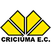 Imagem da matéria: São Paulo e Corinthians disputam premiação milionária na final do Brasileirão Feminino; veja valor