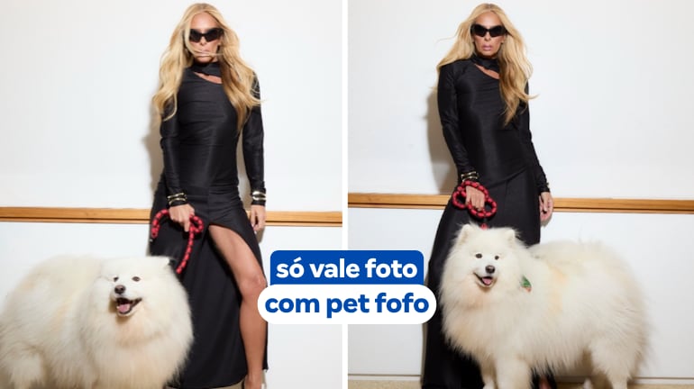 Ana Hickmann desafia internautas: ‘Cite uma regra que seu cachorro impôs na sua casa e todos seguem’