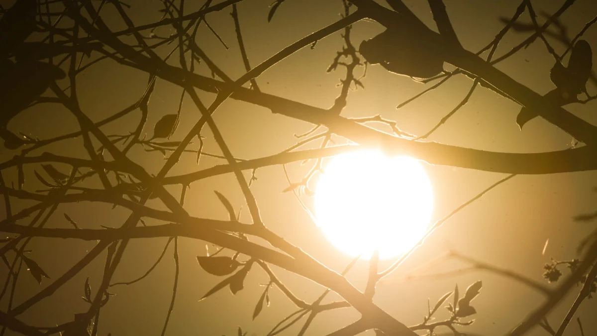 BH entra em alerta para onda de calor forte até quinta-feira (15/10)