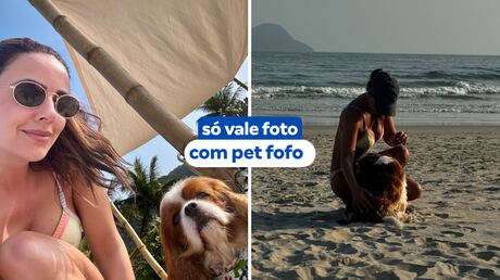 Ana Hickmann desafia internautas: ‘Cite uma regra que seu cachorro impôs na sua casa e todos seguem’