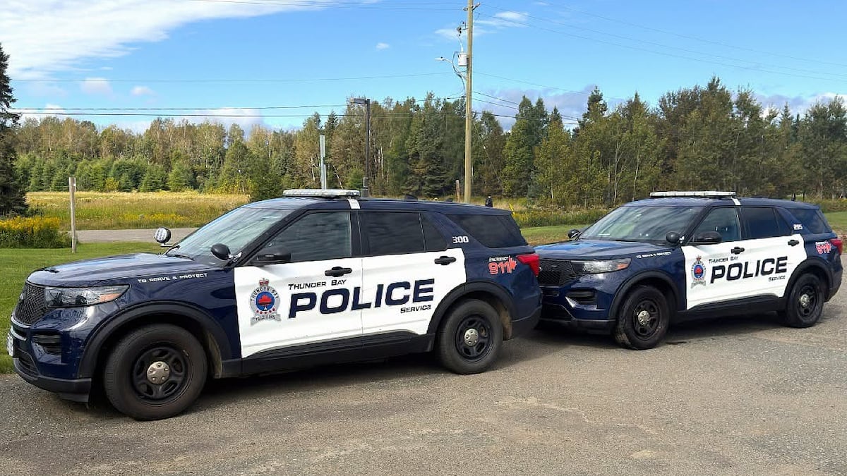 Judge rules Thunder Bay drug warrants were ‘tainted’ by racial profiling