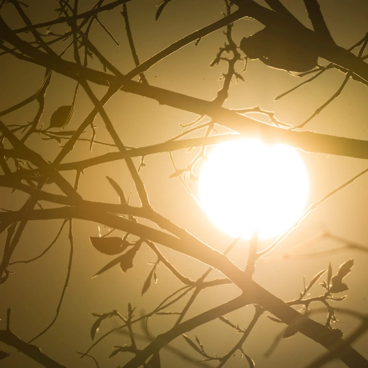 BH entra em alerta para onda de calor forte até quinta-feira (15/10)