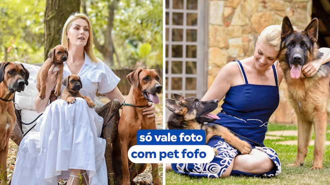 Ana Hickmann desafia internautas: ‘Cite uma regra que seu cachorro impôs na sua casa e todos seguem’