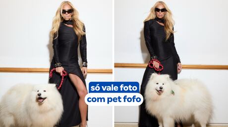 Ana Hickmann desafia internautas: ‘Cite uma regra que seu cachorro impôs na sua casa e todos seguem’