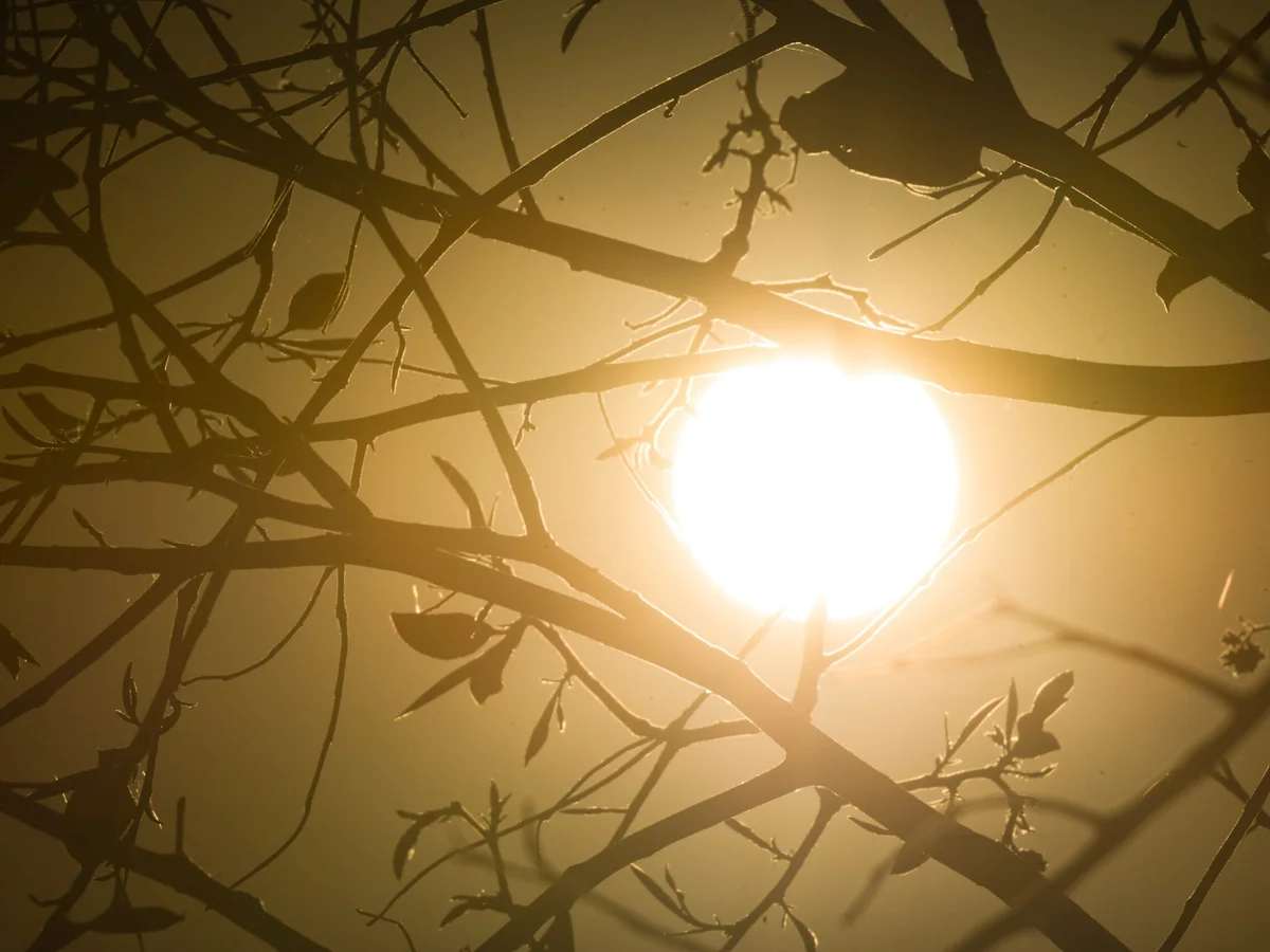 BH entra em alerta para onda de calor forte até quinta-feira (15/10)