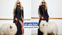 Ana Hickmann desafia internautas: ‘Cite uma regra que seu cachorro impôs na sua casa e todos seguem’