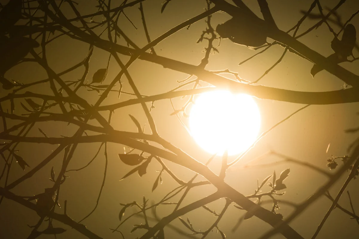 BH entra em alerta para onda de calor forte até quinta-feira (15/10)