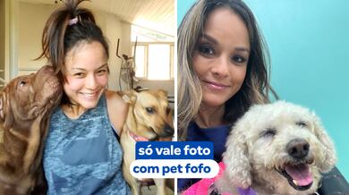 Ana Hickmann desafia internautas: ‘Cite uma regra que seu cachorro impôs na sua casa e todos seguem’