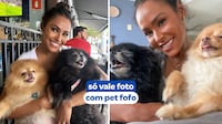 Ana Hickmann desafia internautas: ‘Cite uma regra que seu cachorro impôs na sua casa e todos seguem’